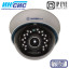 IP камера MT-DW1080IP20VSL PoE audio